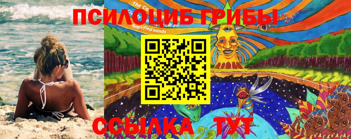 Магадан  Галлюциногенные грибы Psilocybe  Вход с VPN  закладка  Галлюциногенные грибы Cubensis 