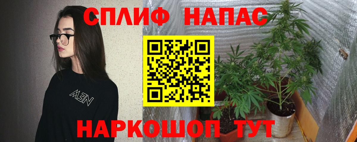 Бошки Шишки план  Канабис White Widow  Магадан  Вход с VPN  МАРИХУАНА THC 21%  Канабис план 